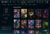 Skin1