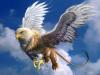 Griffonio