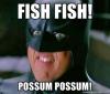 BatmanFish