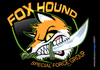 solidfox49