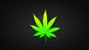 WeeDiiX
